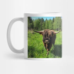 Scottish Highland Cattle Bull 2416 Mug